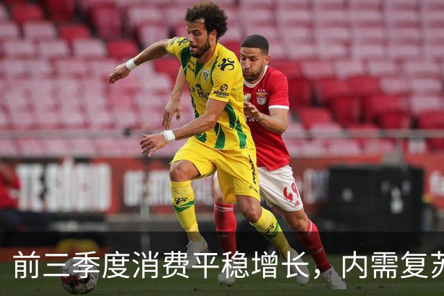 前三季度消费平稳增长，内需复苏信号或显现