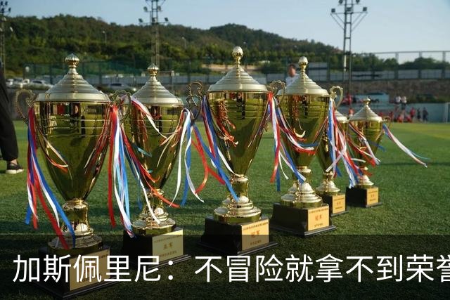 加斯佩里尼：不冒险就拿不到荣誉；罗马能与意甲任何球队过招
