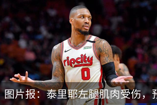 图片报：泰里耶左腿肌肉受伤，预计将缺席至12月