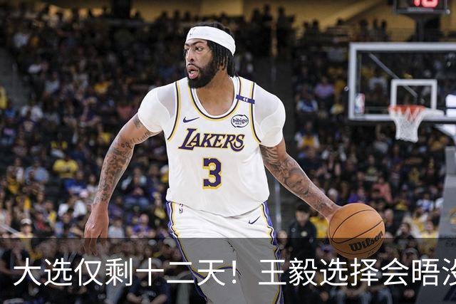 大选仅剩十二天！王毅选择会晤没实权的总统，背后布局大有讲究