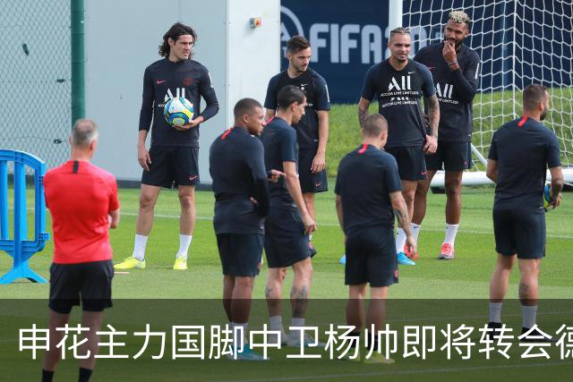 申花主力国脚中卫杨帅即将转会德甲霍芬海姆，身价9000万谣言已破