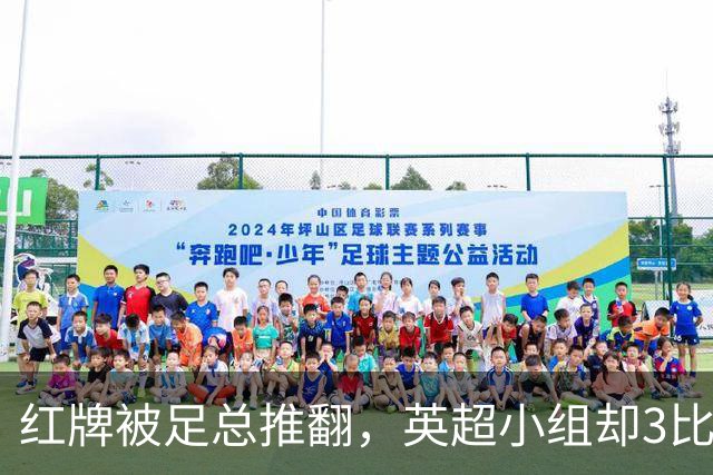 红牌被足总推翻，英超小组却3比2认定该罚下