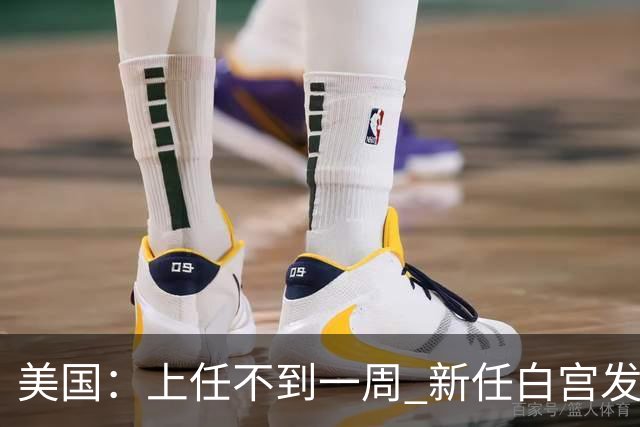 美国：上任不到一周 新任白宫发言人遭解职