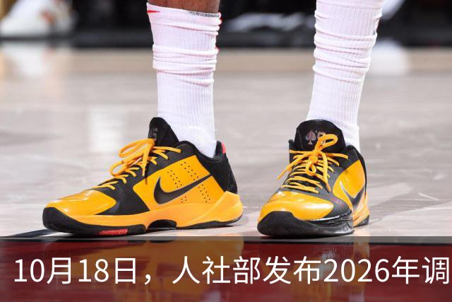 10月18日，人社部发布2026年调整退休人员养老金的通知文件了吗？