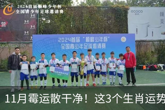 11月霉运散干净！这3个生肖运势提升一大截，机会挨个上门