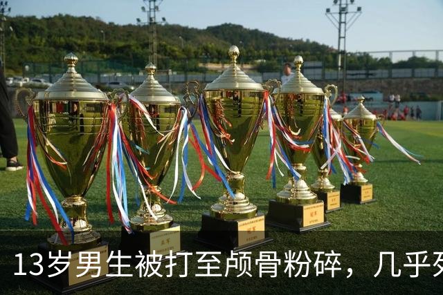 13岁男生被打至颅骨粉碎，几乎死亡，治疗费已超600万！施暴者家属仅拿了12万，详情很愤怒