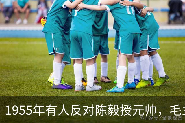 1955年有人反对陈毅授元帅，毛主席力挺：三年游击战功不可没！