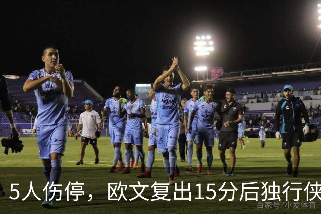 5人伤停，欧文复出15分后独行侠再战步行者