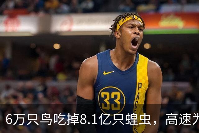 6万只鸟吃掉8.1亿只蝗虫，高速为它们停工一个月