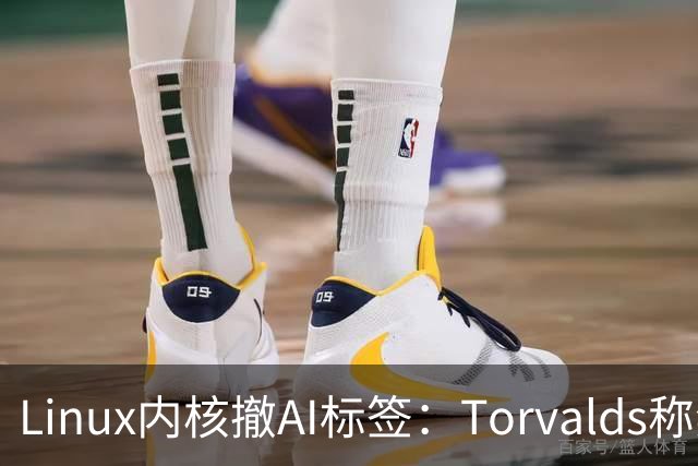 Linux内核撤AI标签：Torvalds称禁用AI愚蠢